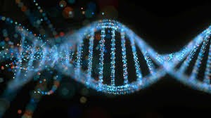 DNA 